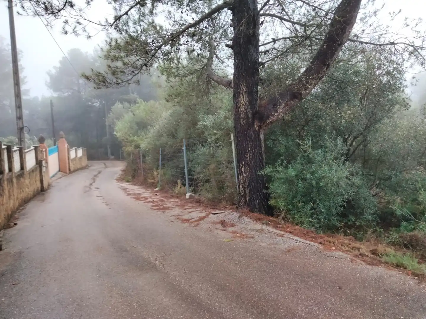 Rural land for sale in Vilallonga / Villalonga, imagen 14