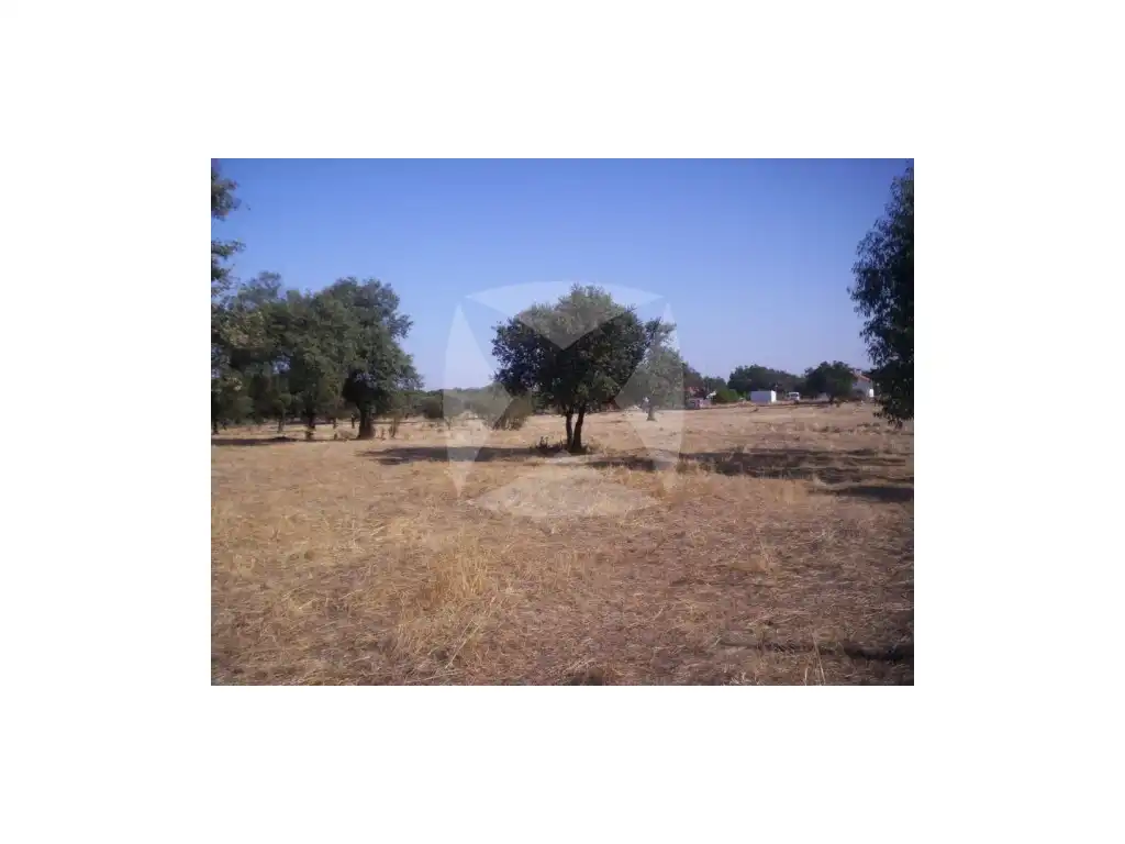 Terreni e lotti in vendita a DE ALBURQUERQUE (EX-110) JUNTO RESTAURANTE MEDIO PUNTO, imagen 4