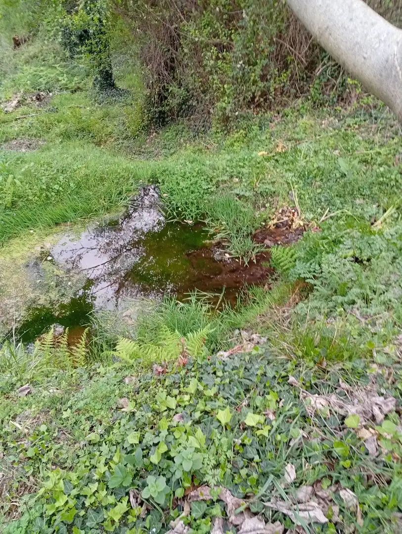 Terreni e lotti in vendita a Valverde de la Vera, imagen 92