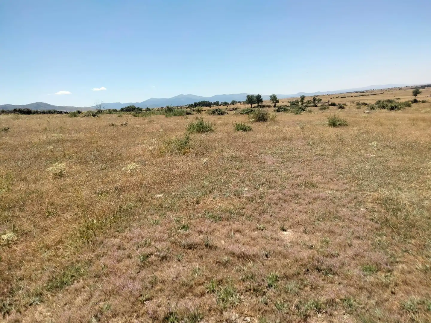 Terreno rustico in vendita a Basardilla, imagen 3