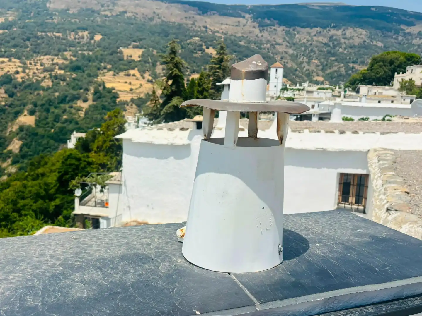 Vista exterior de Finca rústica en venta en Capileira