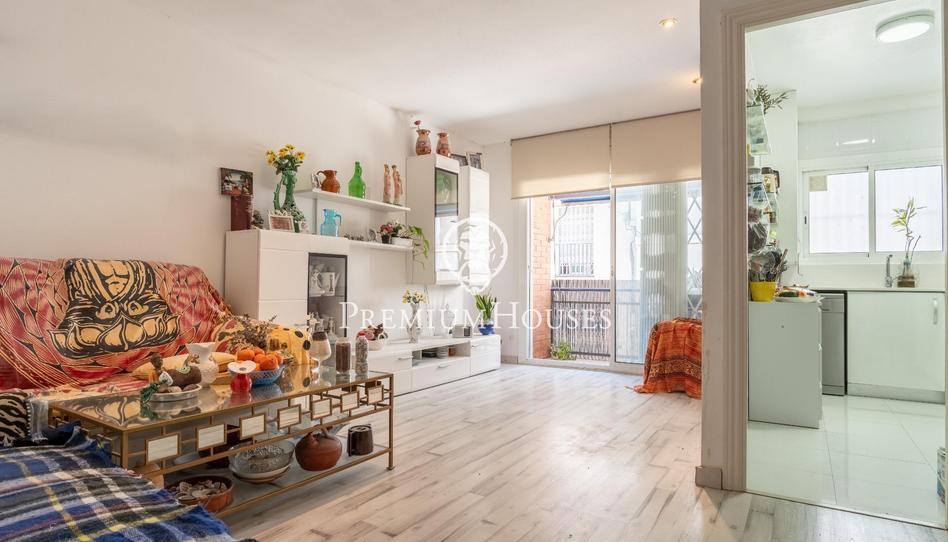 Photo 1 of Planta baja for sale in Els Molins - Pins Vens, Barcelona