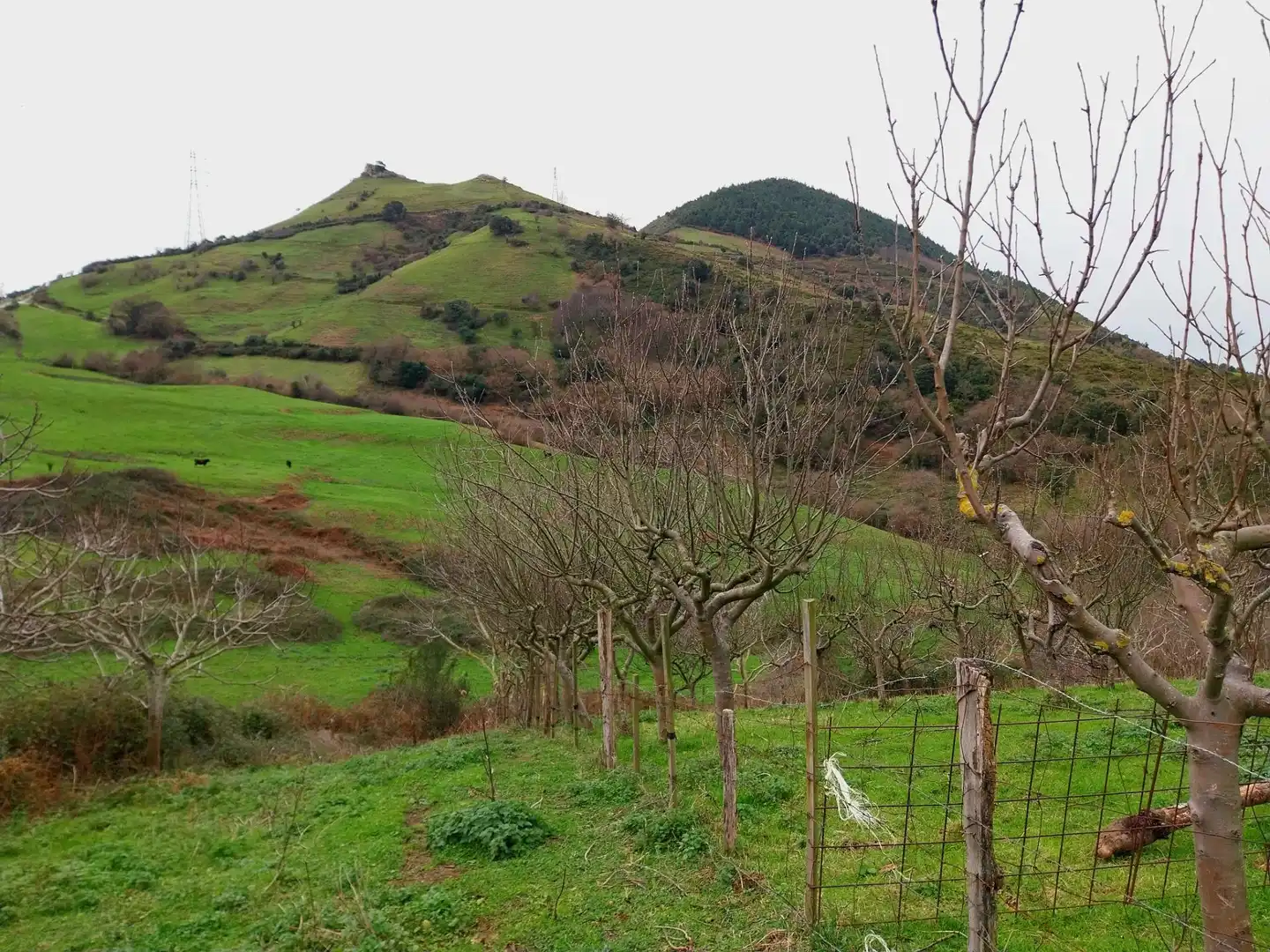 Rural land for sale in Zierbena, imagen 20