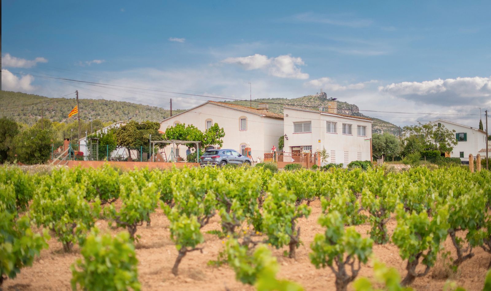 Garden of House or chalet for sale in Castellví de la Marca  with Air Conditioner, Heating and Private garden