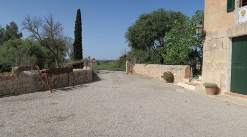 Foto 2 de Finca rústica en venda a Ariany, Illes Balears