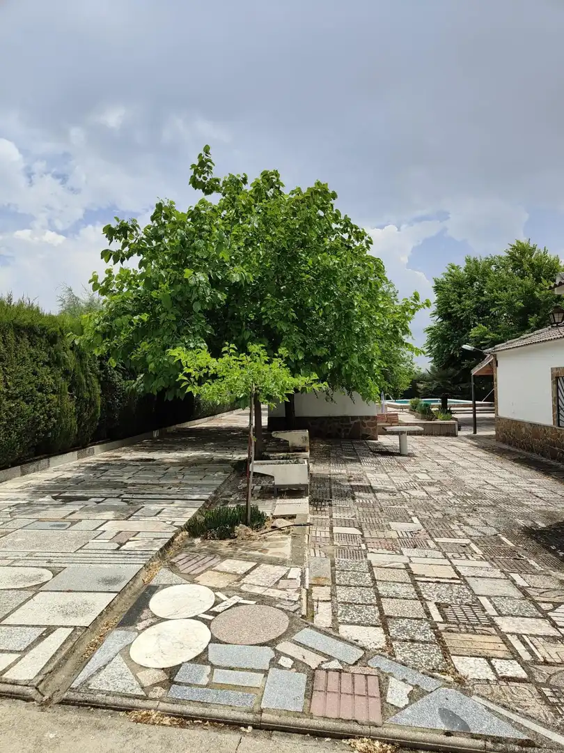 Terraza de Casa o chalet en venta en Brazatortas con Aire acondicionado, Calefacción y Jardín privado