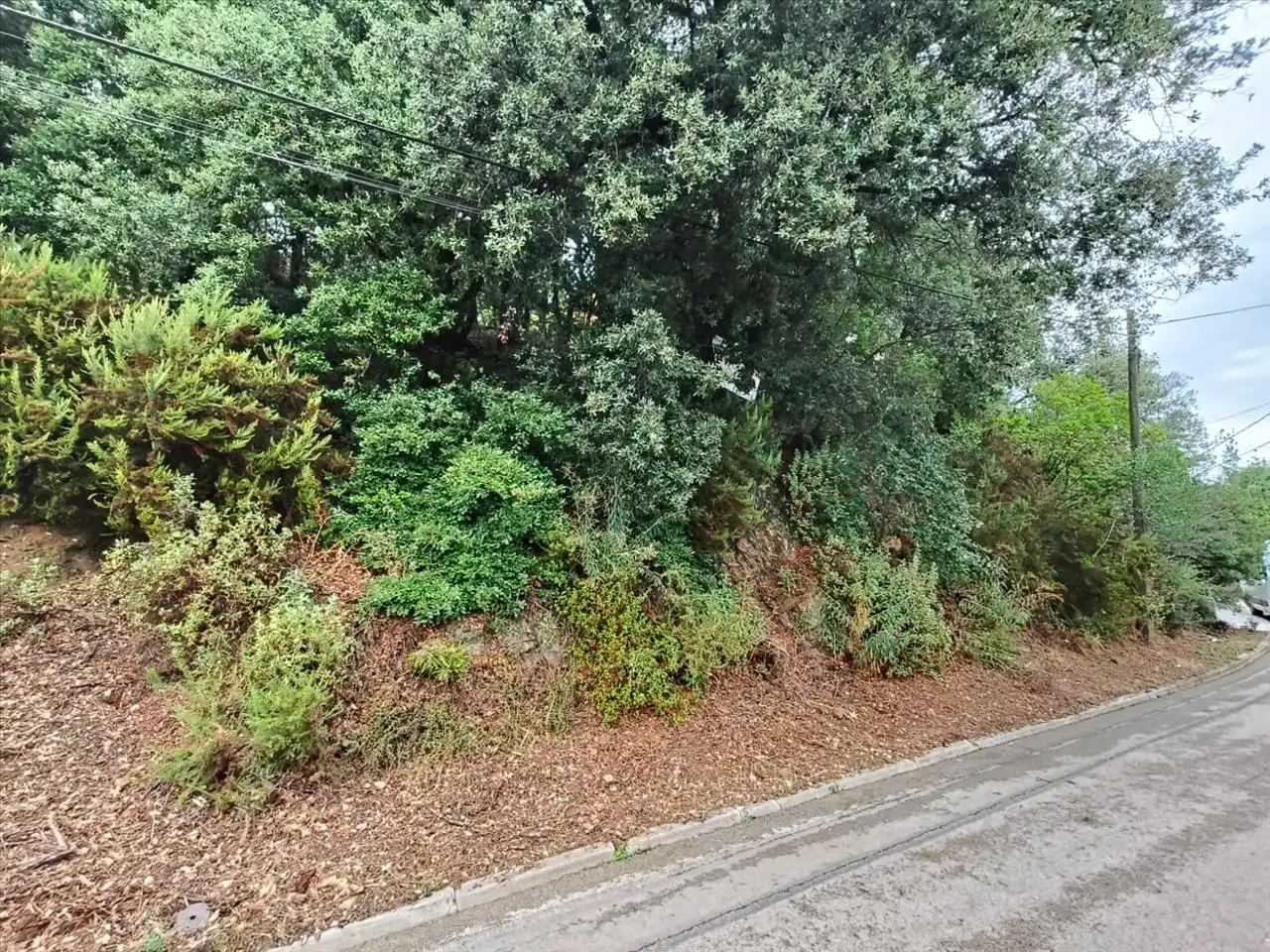 Wohnbaugrundstück zum Verkauf in Carrer Serra de Sant Feliu, 44, 08211 Castellar del Vallès, Barcelona, Spain 44