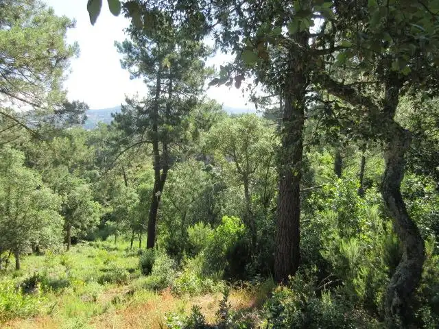 Wohnbaugrundstück zum Verkauf in Lloret Blau - La Creu de Lloret, imagen 7