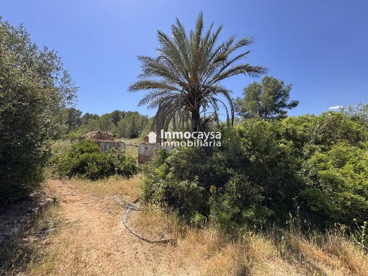 Terreno en venta en Montesa