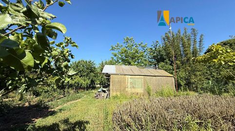 Photo 3 of Houses for sale in El Almedral, Puerto Real