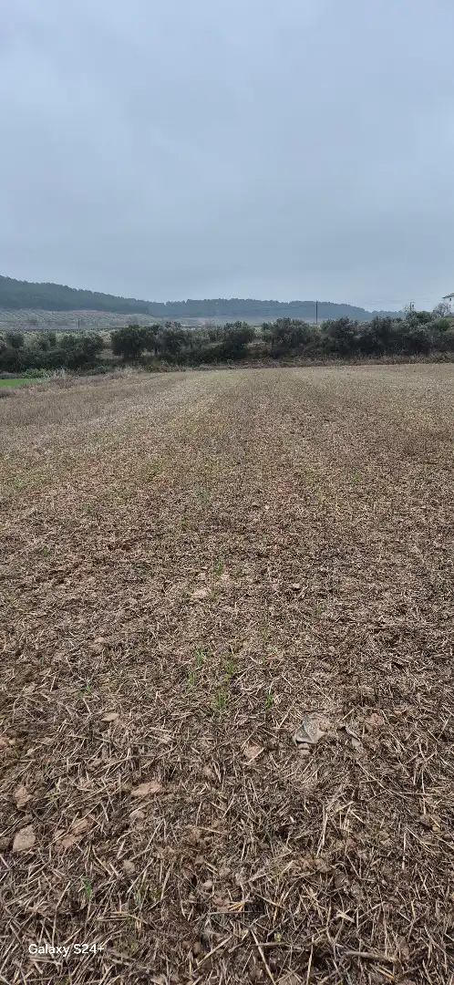 Terreny industrial en venda en Murillo de Río Leza