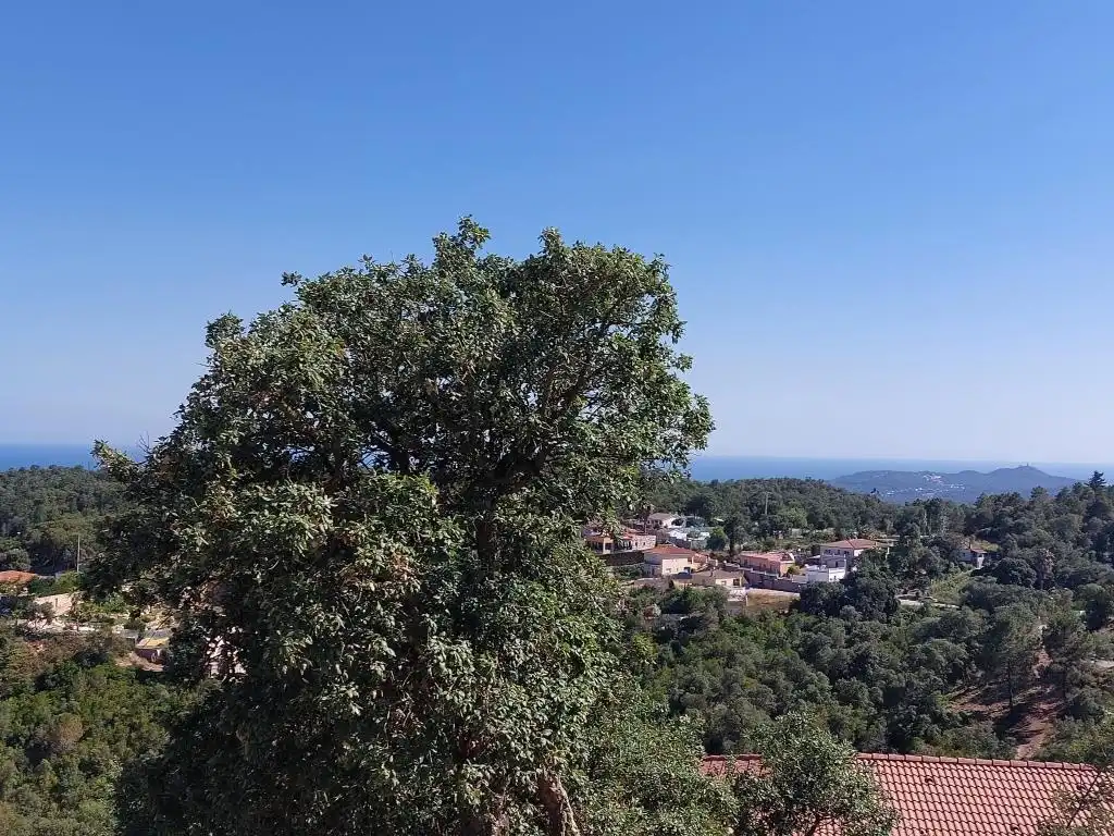 Residencial en venda a Carrer Illa, 5, Lloret Residencial - Montlloret