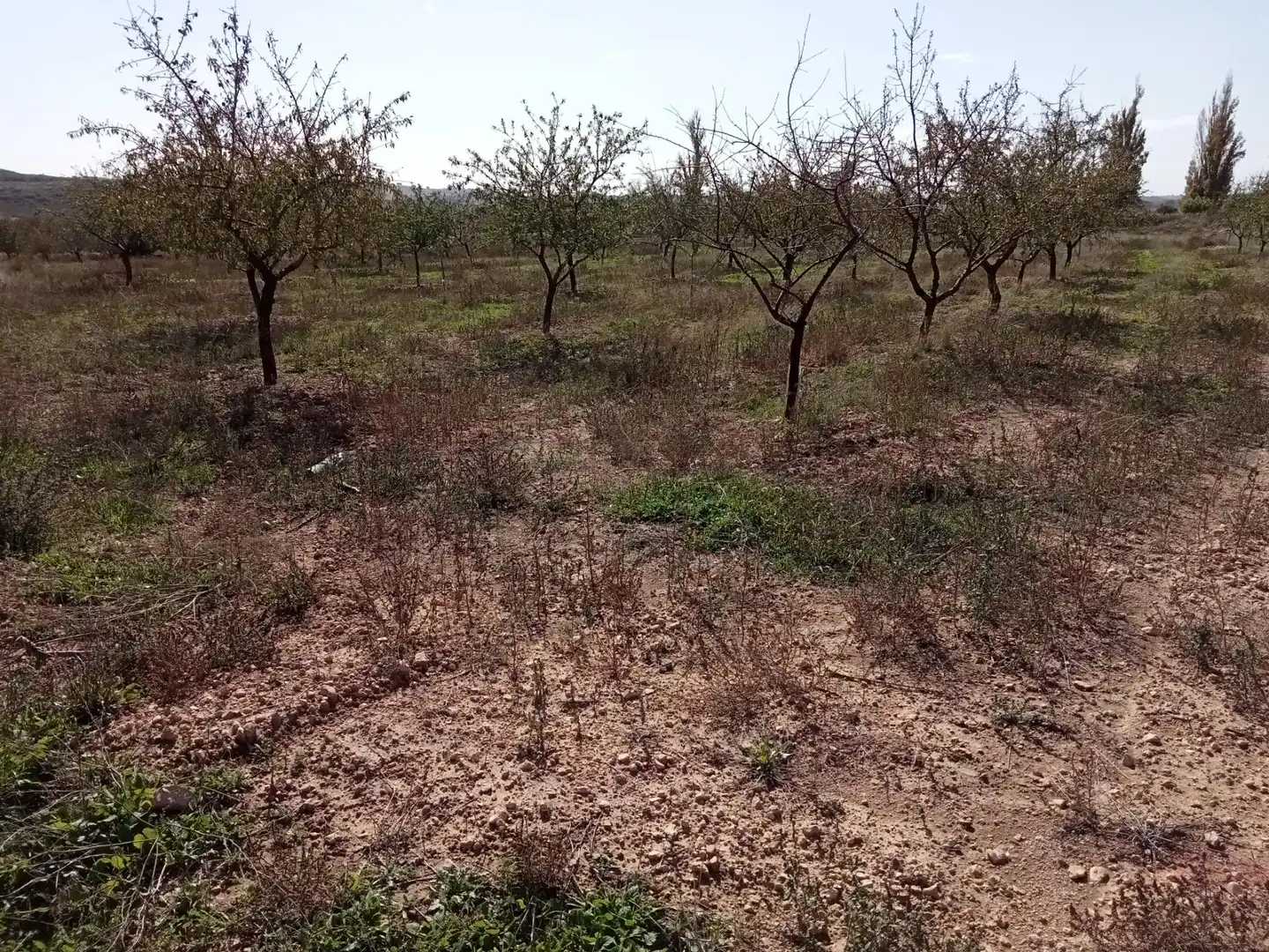 Casa o xalet en venda en Lezuza