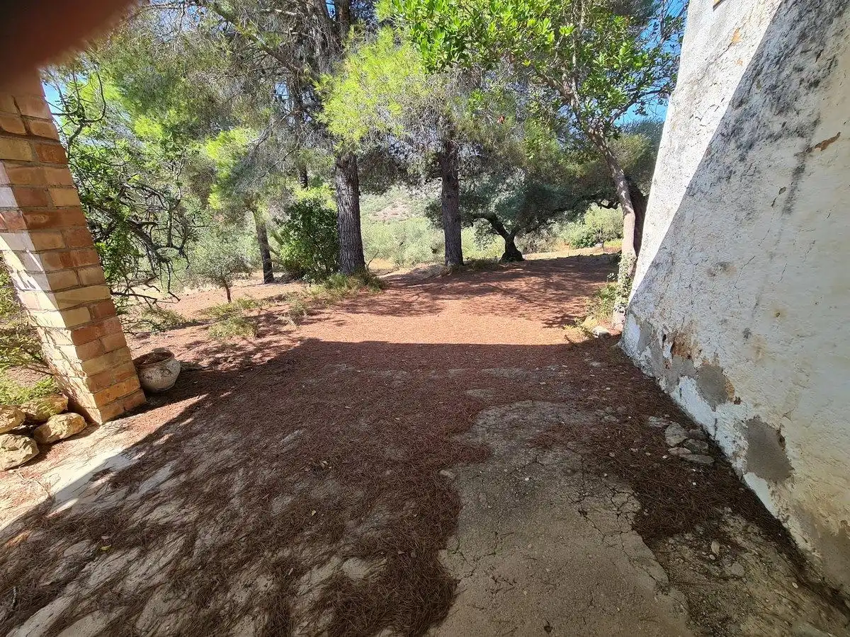 Terreno rustico in vendita a Freginals, imagen 10