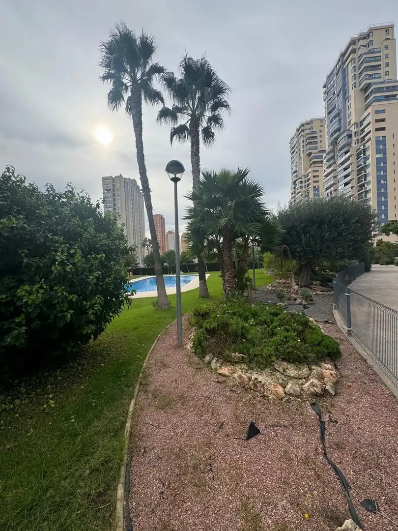 Swimming pool of Study for sale in Benidorm  with Community pool
