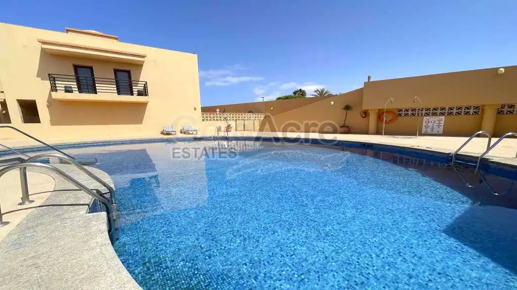 Swimming pool of Houses for sale in La Oliva