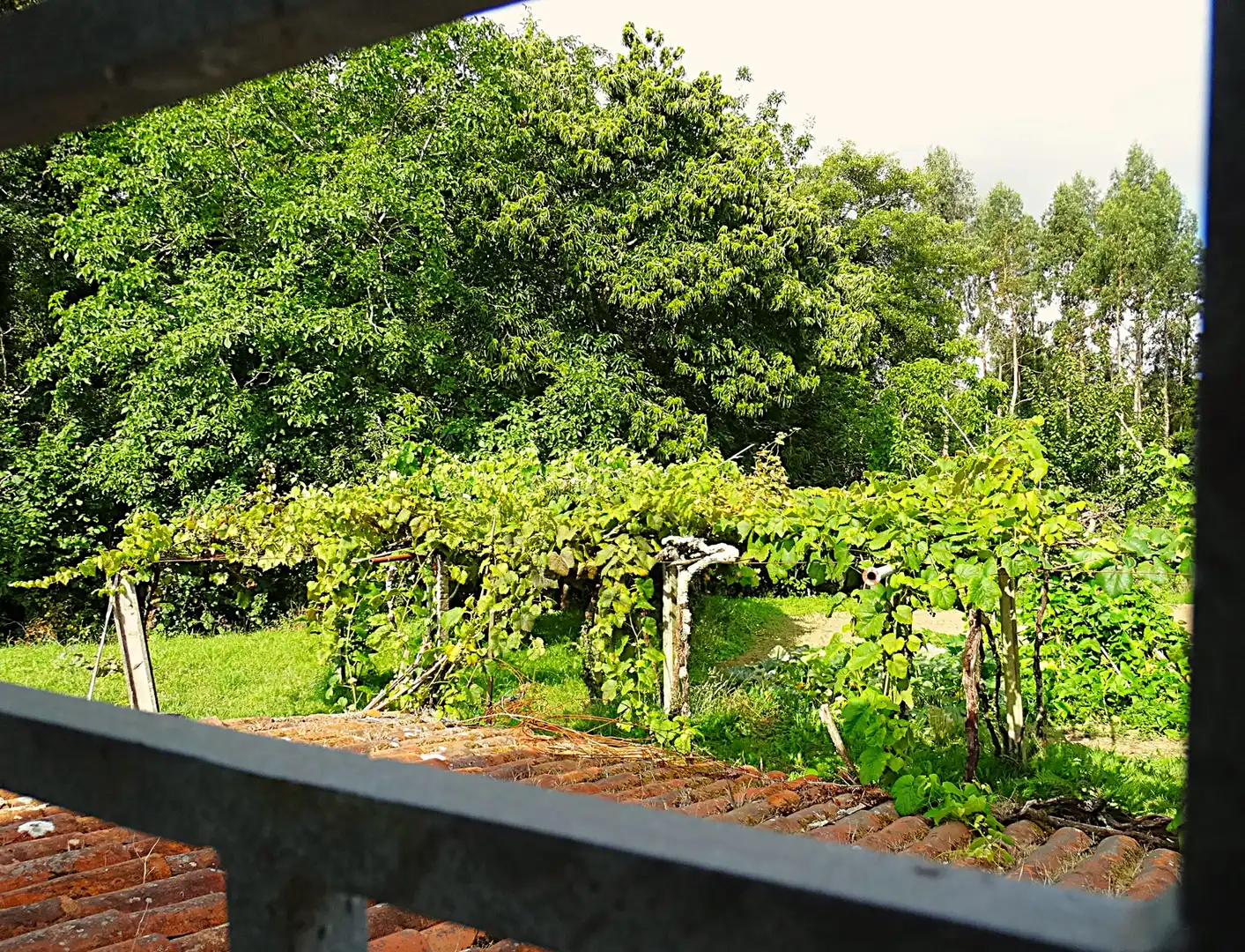 Jardí de Finca rústica en venda en Narón amb Calefacció, Jardí privat i Parquet