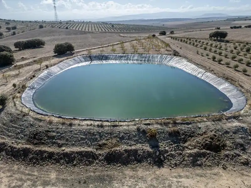 Swimming pool of Land for sale in Alamedilla
