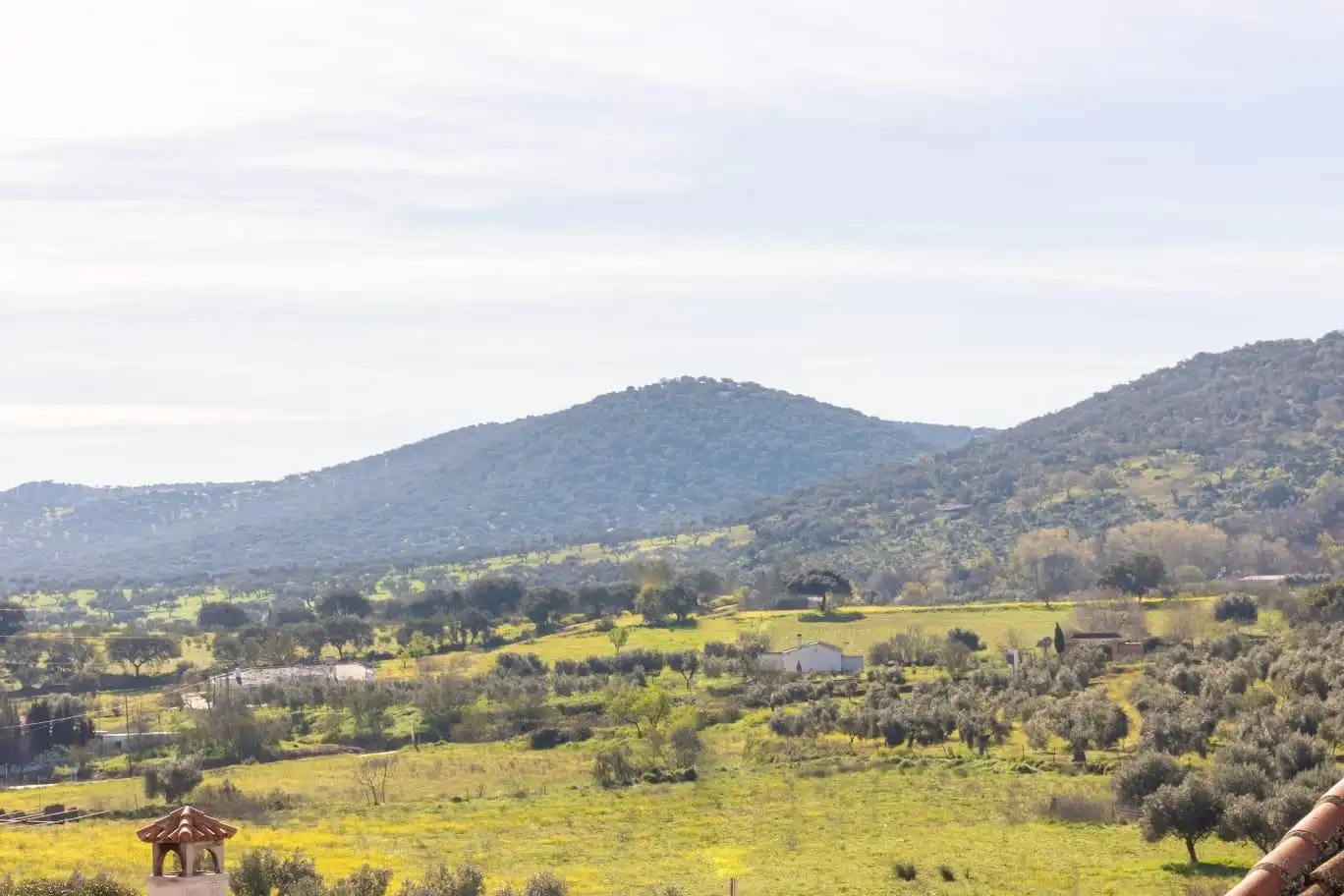 Houses for sale in Belmez