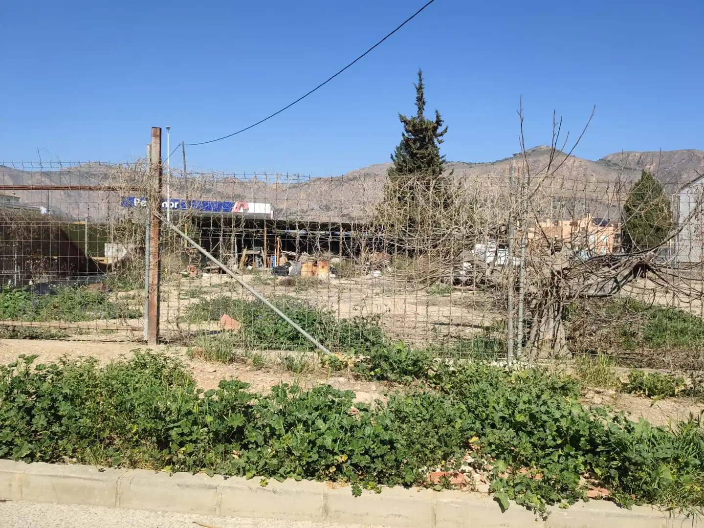 Terreno rustico in vendita a Barrio de la Concepción, imagen 2