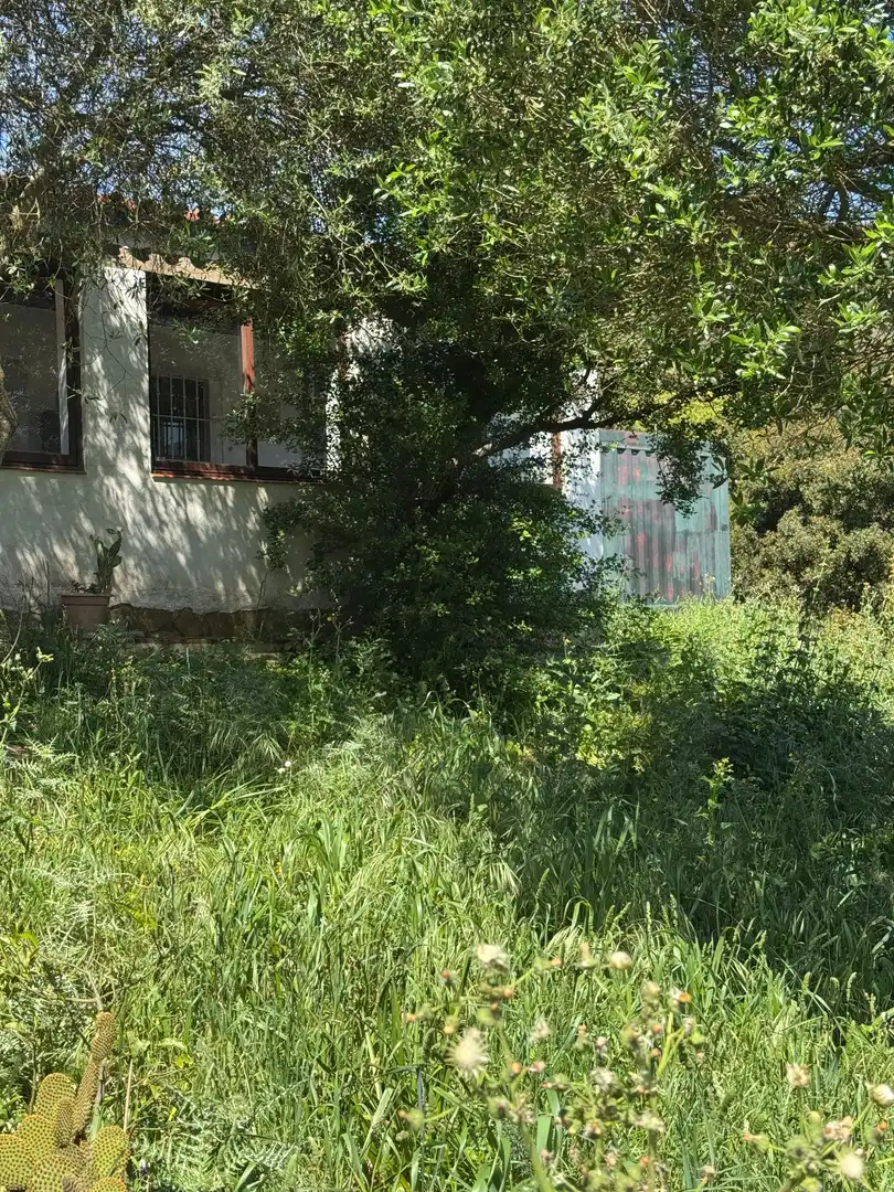 Residential zum Verkauf in El Cuartón - El Bujeo