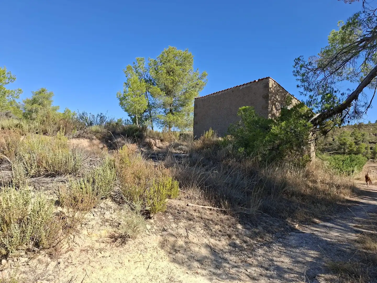 Finca rústica en venta en Maella
