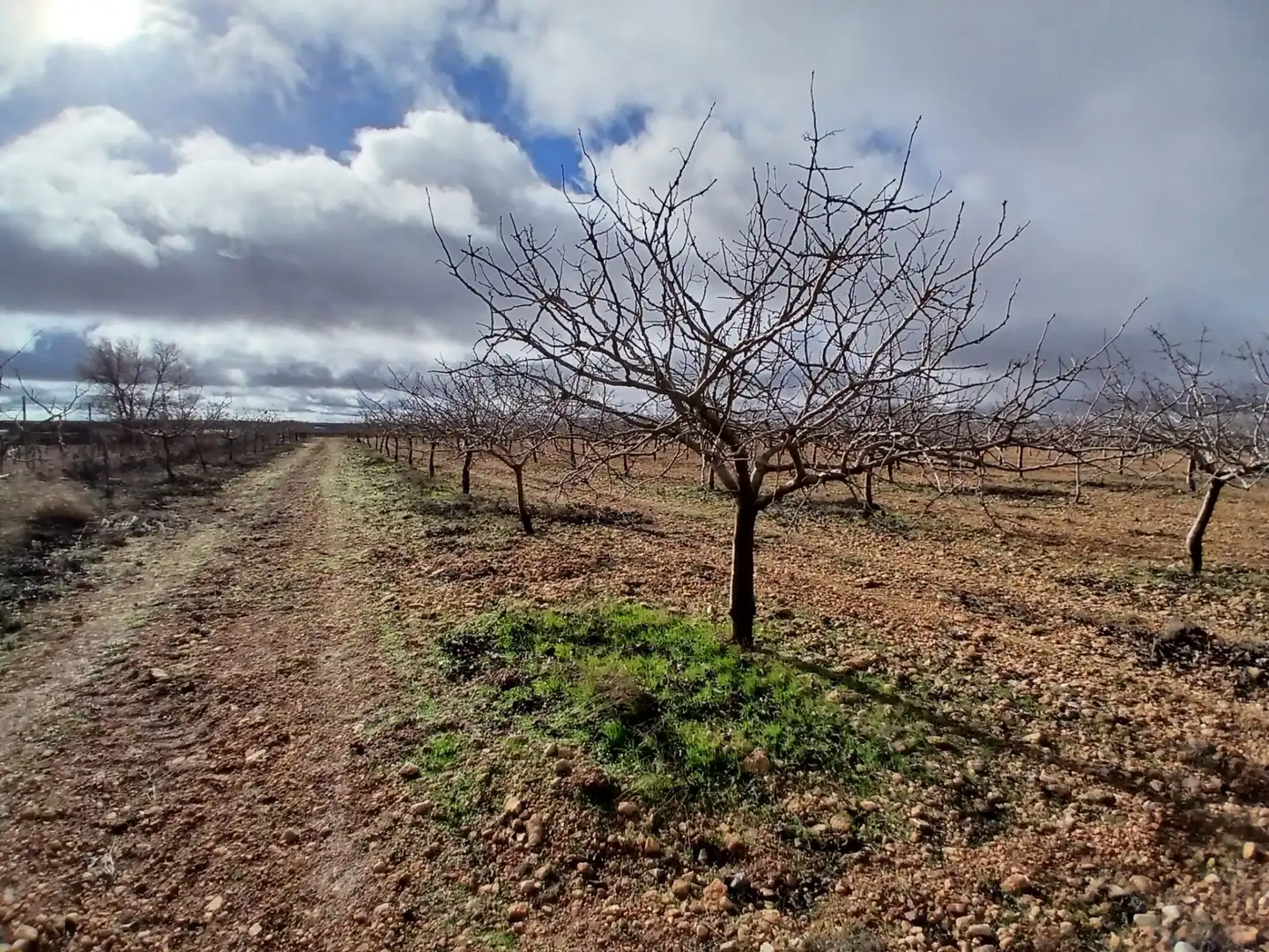 Rural land for sale in Carretera Solana, imagen 24