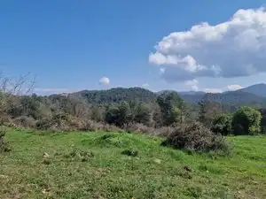 Country homes for sale in Santa Maria d'Oló