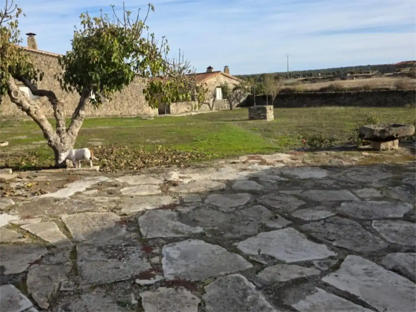 Casa o xalet en venda en Bermillo de Sayago amb Jardí privat