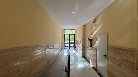 Photo 2 of Flat for rent in Bellavista,  Sevilla Capital