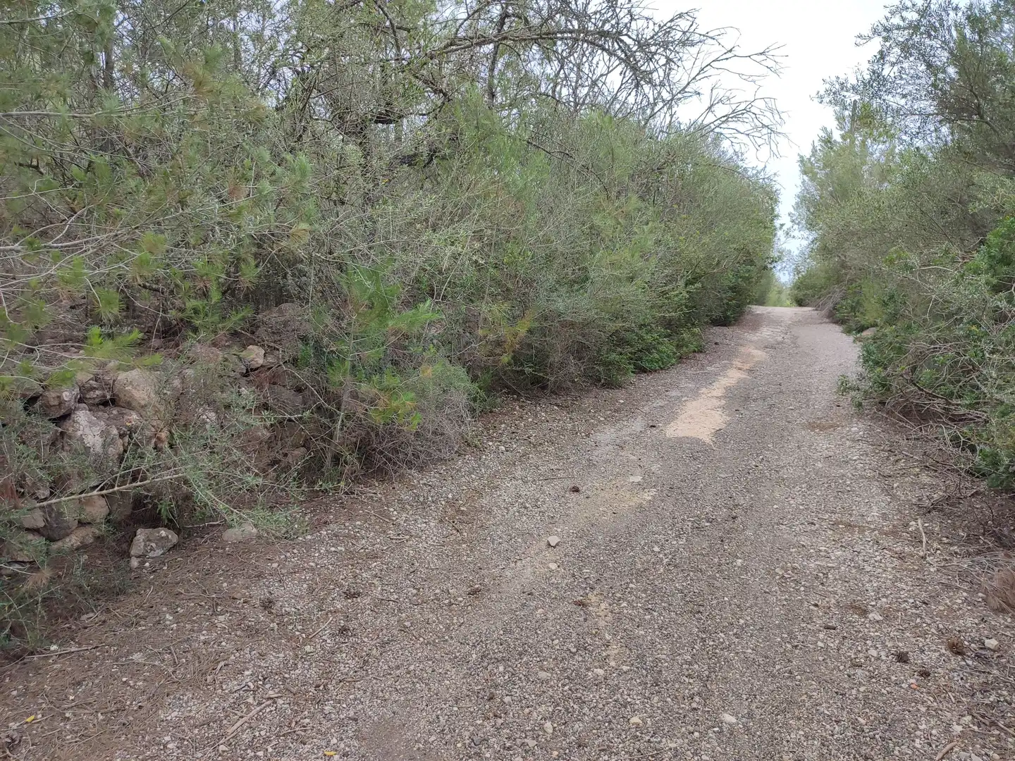 Terrain rustique à vendre à Sant Joan, imagen 15