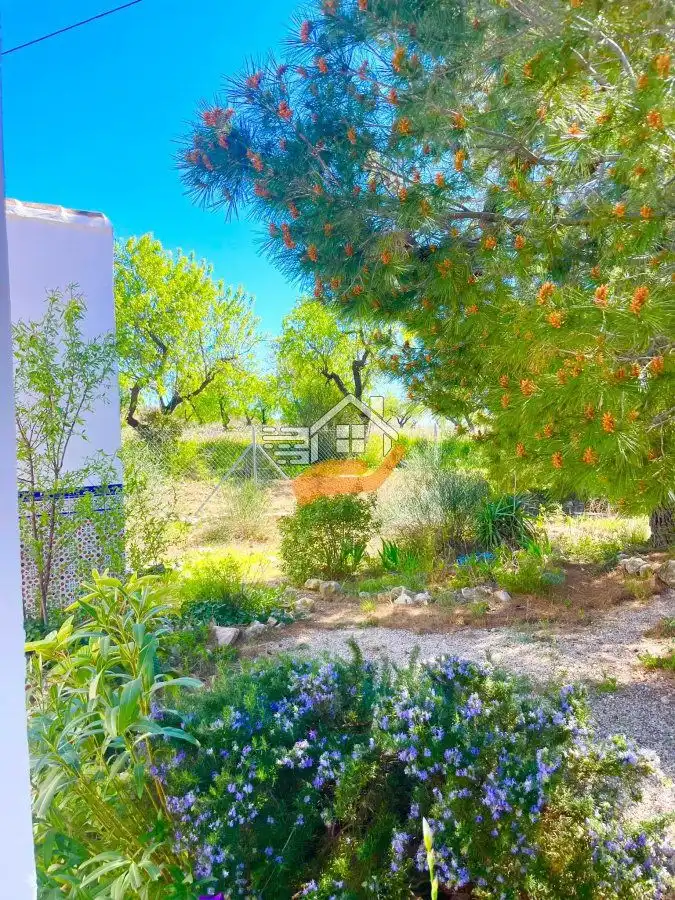 Villa in vendita a Vélez-Rubio, imagen 26