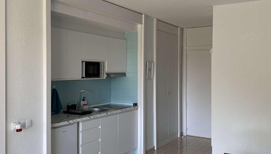 Photo 1 of Study to share in Port d'Alcúdia - Platja d'Alcúdia, Illes Balears