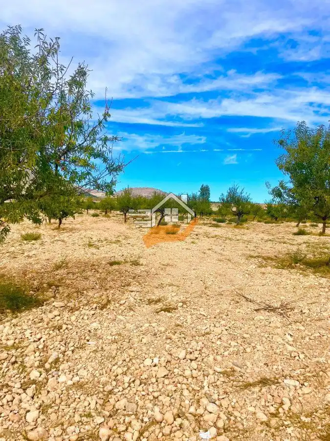 Casa rústica en venta en Vélez-Blanco, imagen 17
