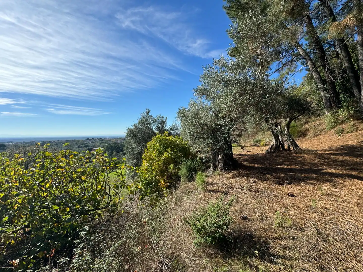 Finca rústica en venta en Candeleda con Jardín privado