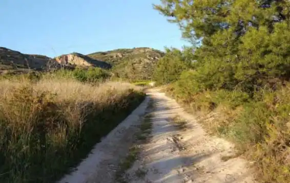 Rural land for sale in Camí l'Abeller 148, imagen 7