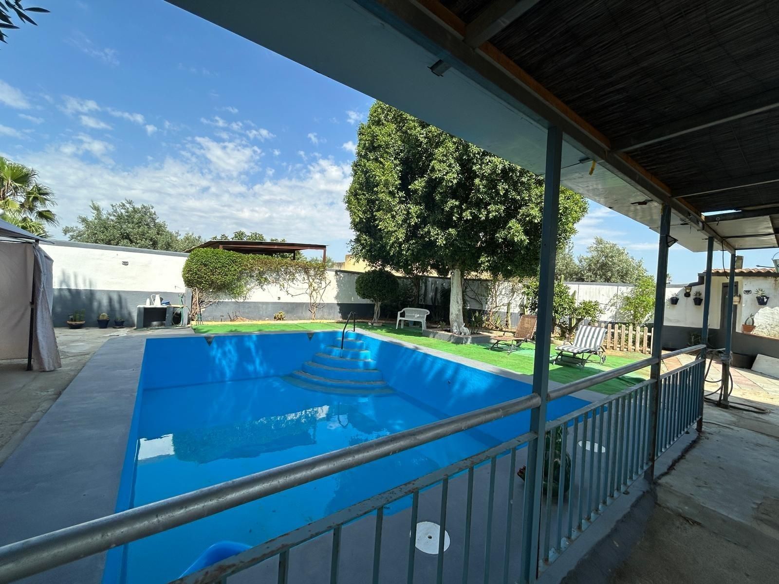 Swimming pool of Country house for sale in Utrera