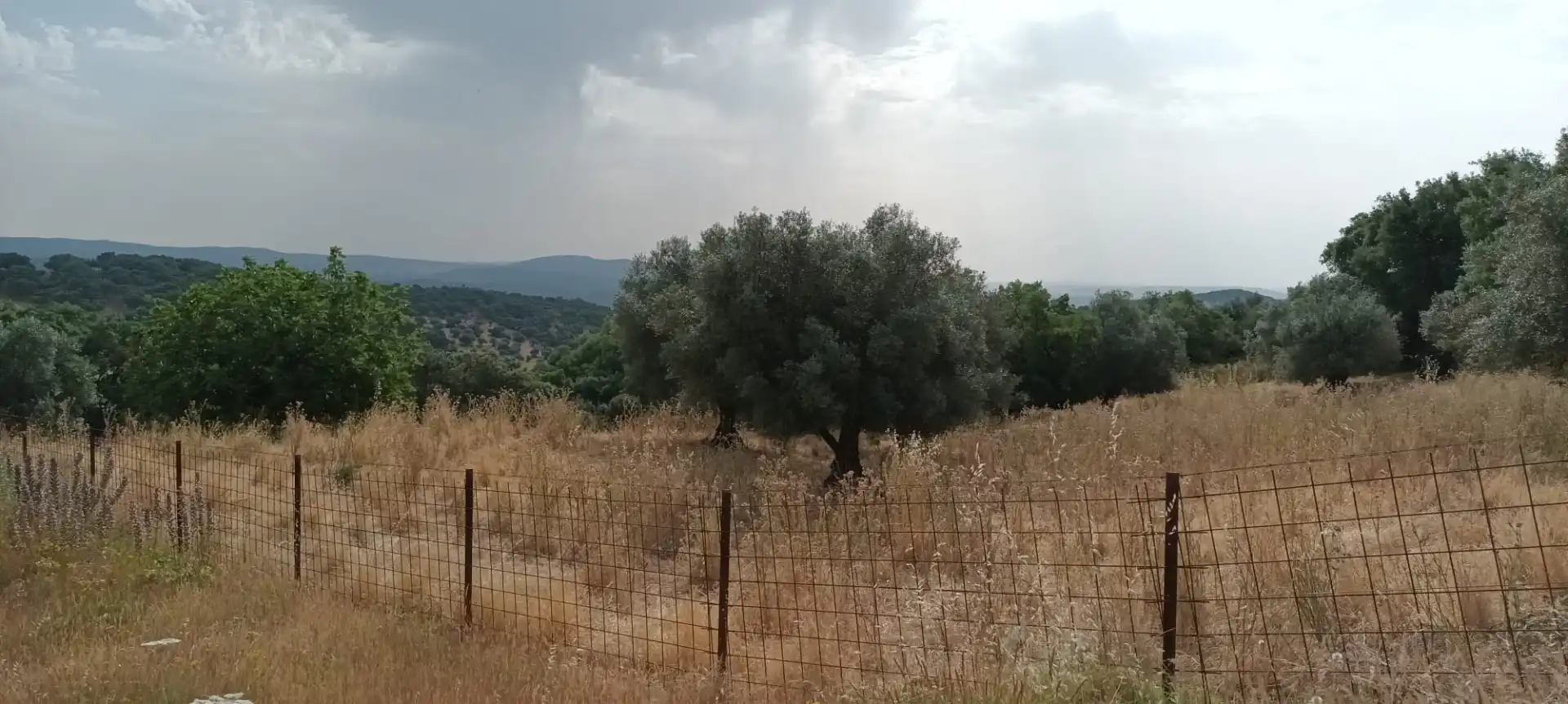 Grundstücke zum Verkauf in Valle de Santa Ana