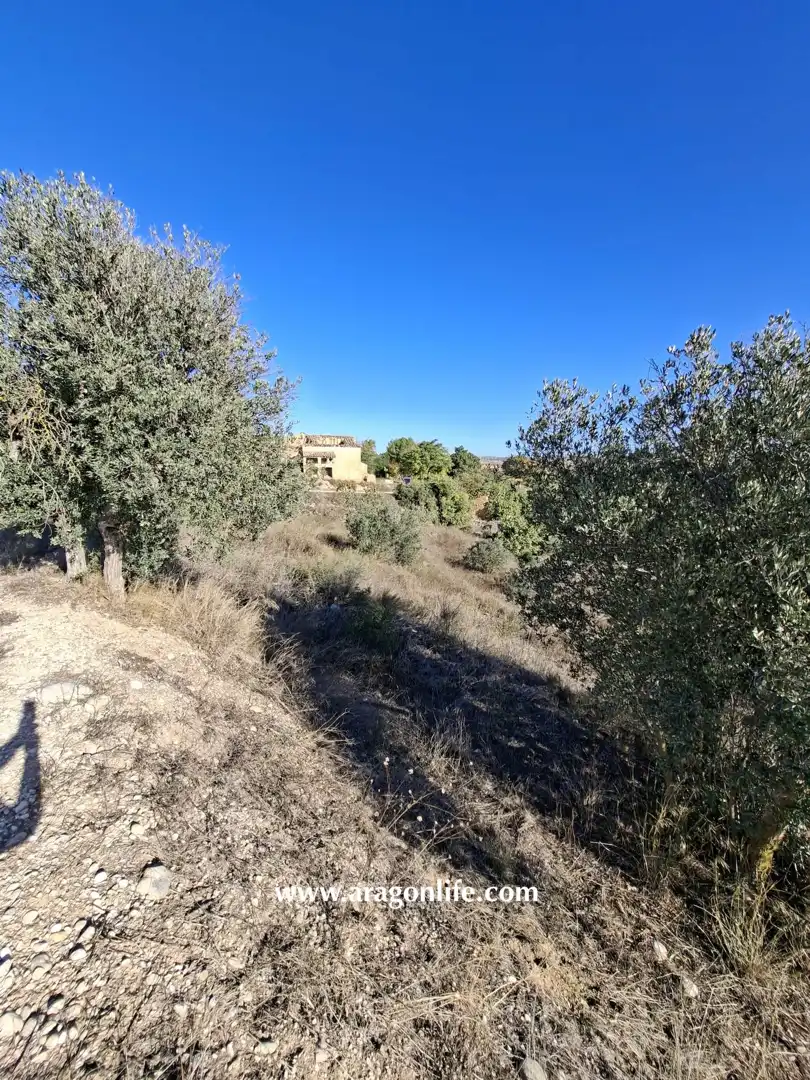 Finca rústica en venta en Caspe