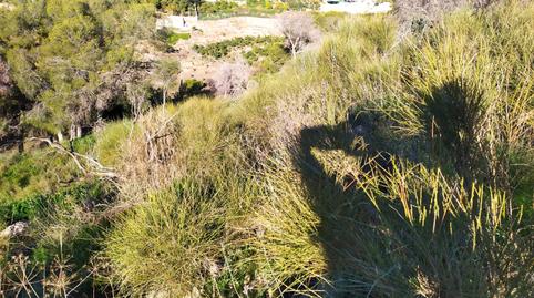 Photo 4 of Land for sale in Avenida de las Palmeras, 66, Avda Pescia - Ctra de Frigiliana, Málaga