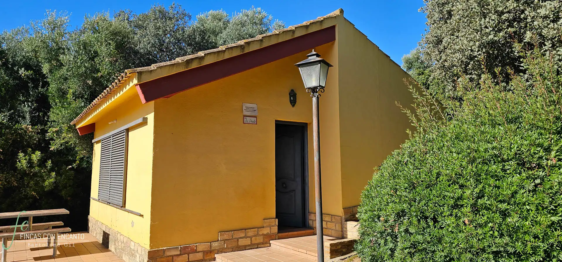 Vista exterior de Finca rústica en venda en Morón de la Frontera amb Jardí privat, Terrassa i Piscina