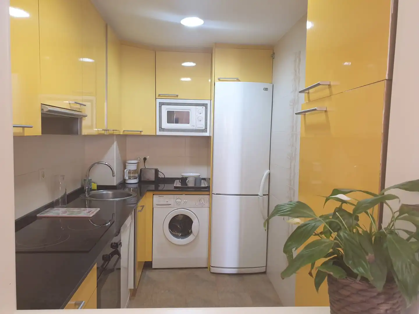 Planta baja de alquiler en Carrer del Monestir de Poblet, 1, La Pineda