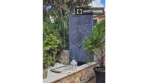 Photo 5 of Room in Cala Sant Vicenç, Pollença