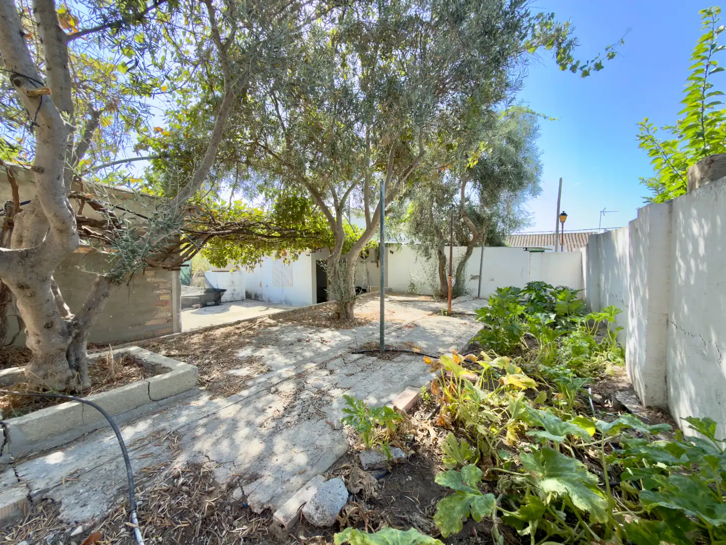 Jardí de Casa o xalet en venda en Bornos amb Aire condicionat, Jardí privat i Moblat