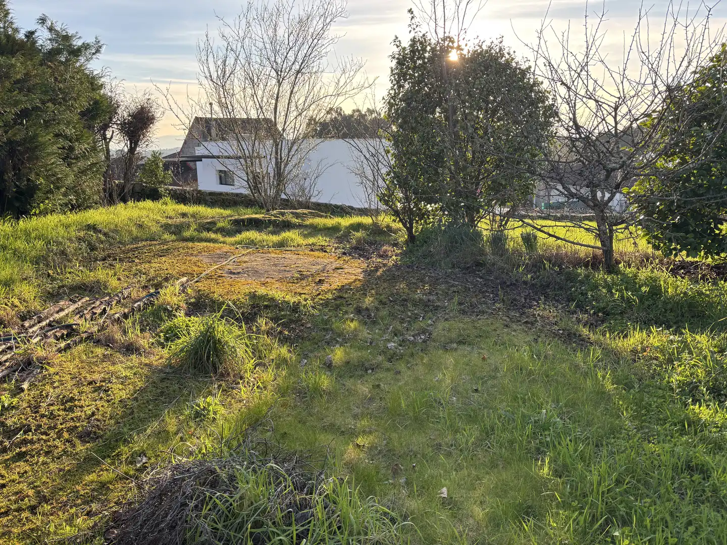 Land for sale in Maside