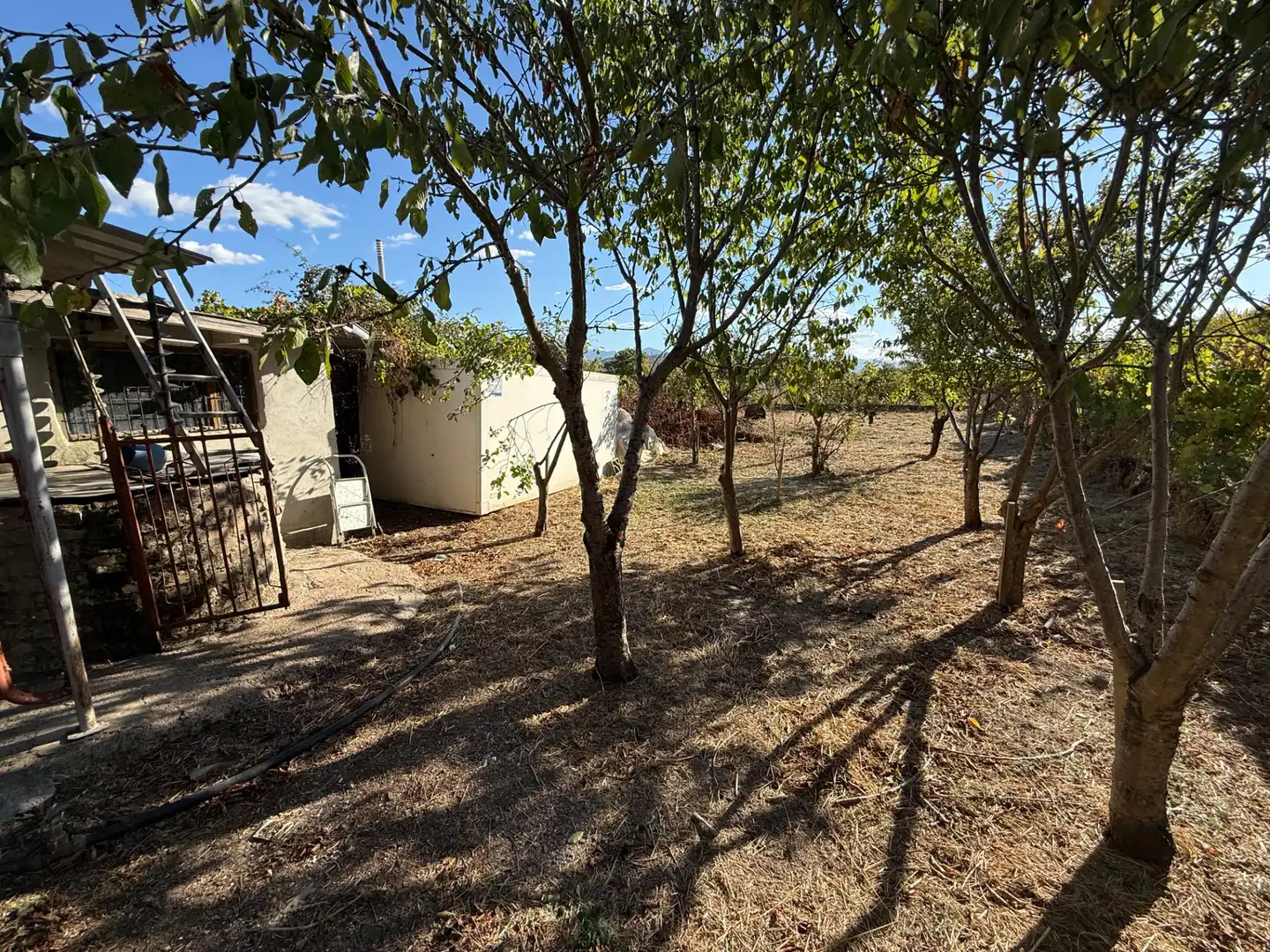Garden of Detached homes for sale in Cubillos del Sil  with Heating, Private garden and Storage room