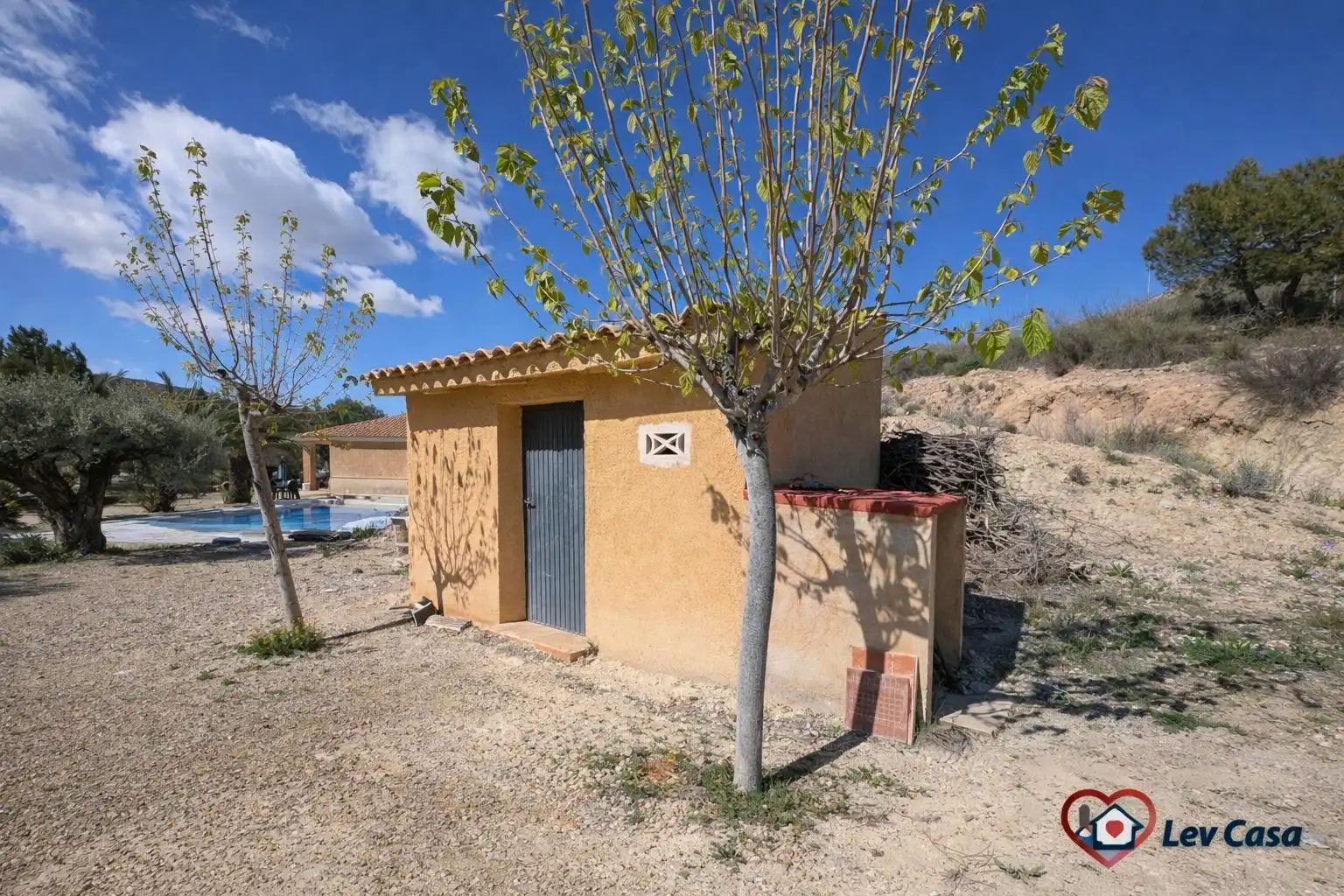 Chalet con piscina en venta en Aledo, imagen 13