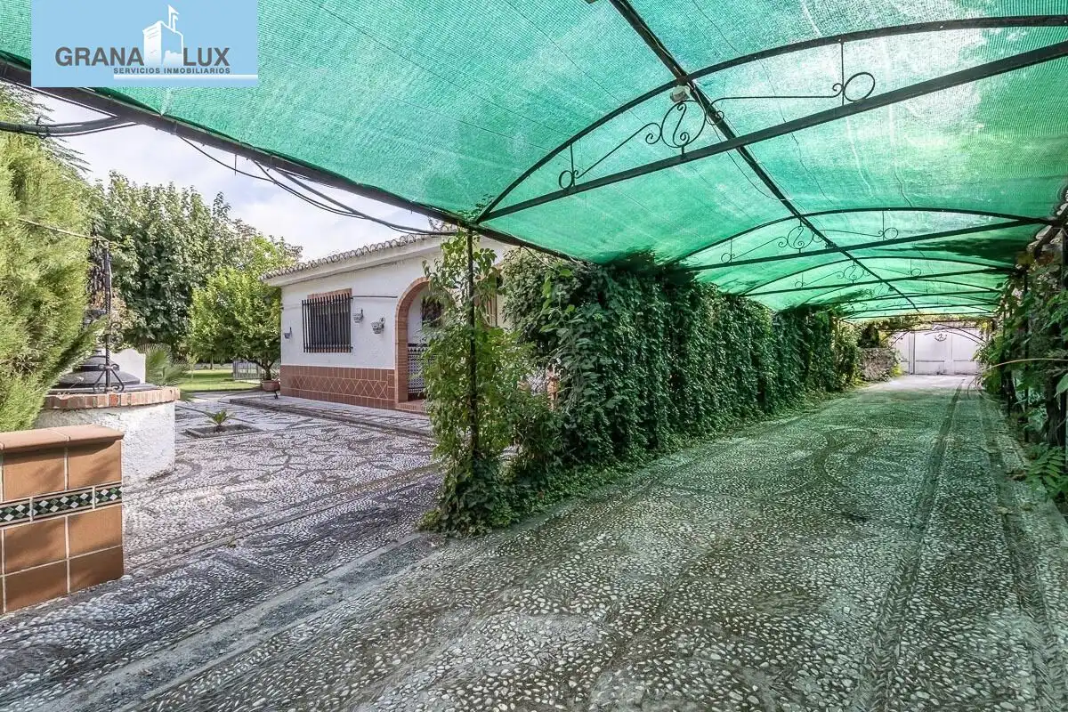 Casa con piscina en venta en Calle del Caño el Palo, imagen 3