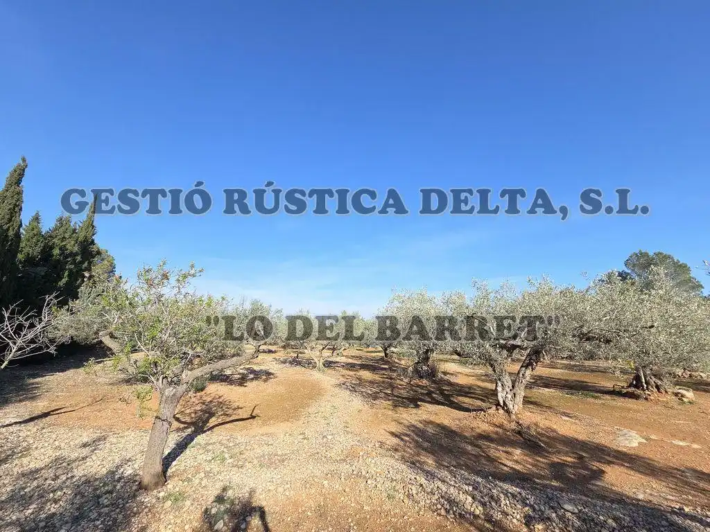 Finca rústica en venda en L'Ampolla amb Terrassa