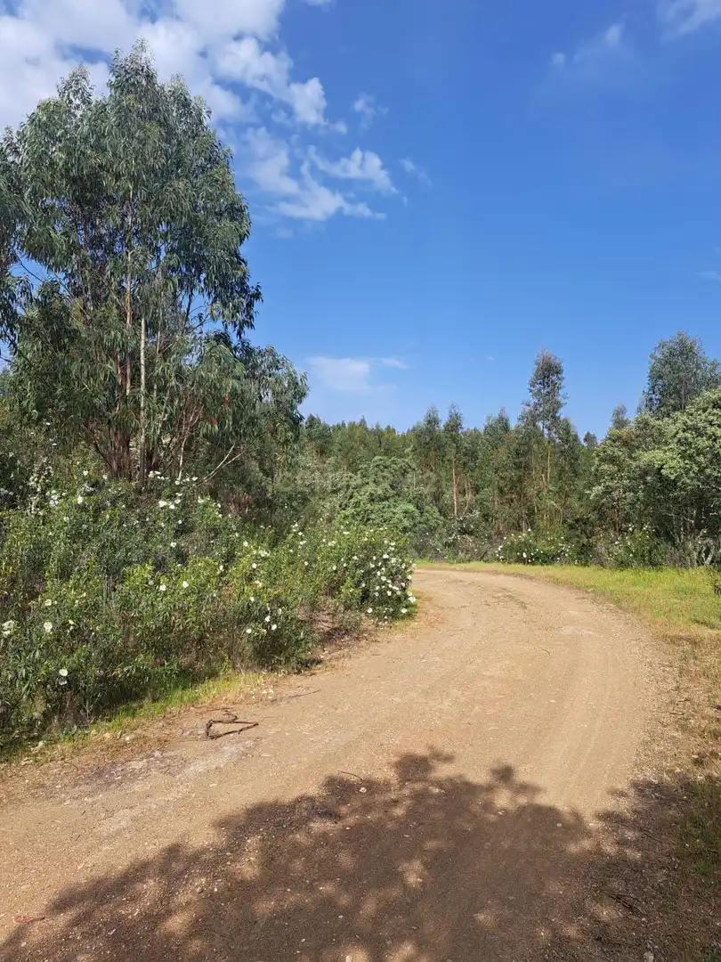 Terreno en venta en Herrera de Alcántara